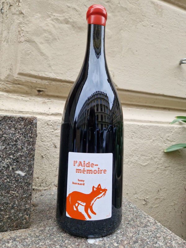 2020 Pinot Noir, L'Aide Memoire MAGNUM, Domaine Bornard