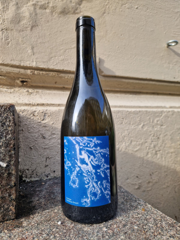 2024 Chasselas, L'Arene, Matthias Orsett