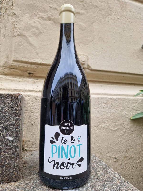 2018 Pinot Noir, Le Pinot Noir, MAGNUM, Domain Bornard