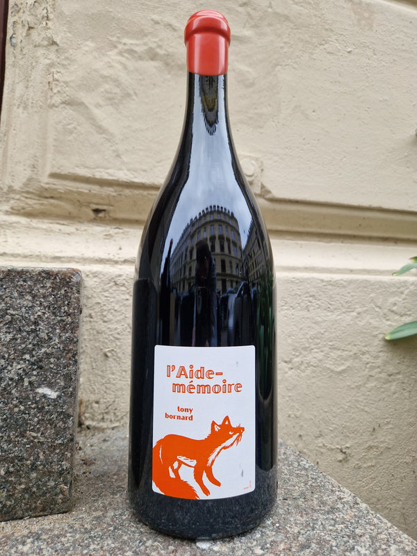 2019 Pinot Noir, L'Aide Memoire MAGNUM, Domaine Bornard
