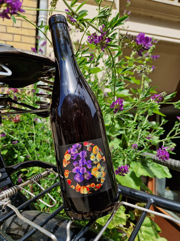 2024 Pineau d'Aunis, La Plante a Huet, Boulanger & Allante