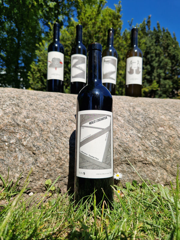 2022 Merlot L'enchanteur, La Momoterie