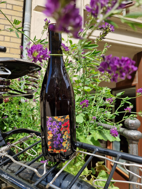 2024 Gamay, Le Creux, Boulanger & Allante