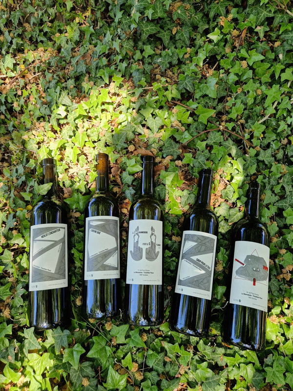 2022 Merlot L'enchanteur, La Momoterie