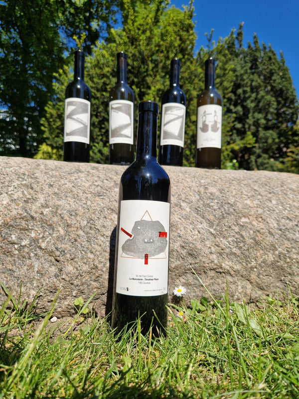 2023 Schiste67, La Momoterie