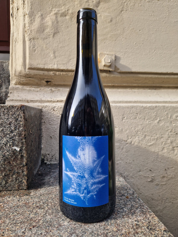 2024 Pinot Noir, Cuvee Damia, Matthias Orsett