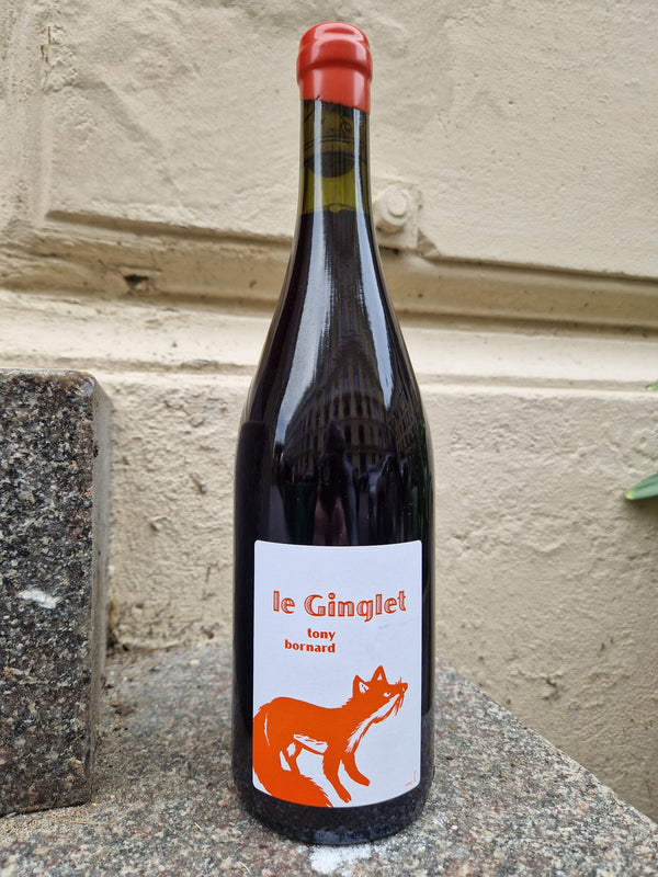 2022 Trousseau, Le Ginglet, Domaine Bornard
