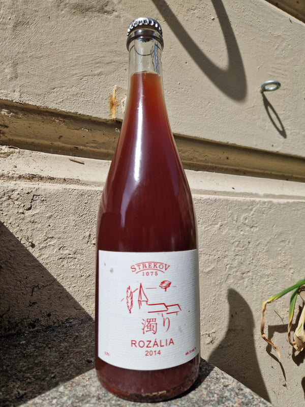 2019 Rosalia, Strekov 1075