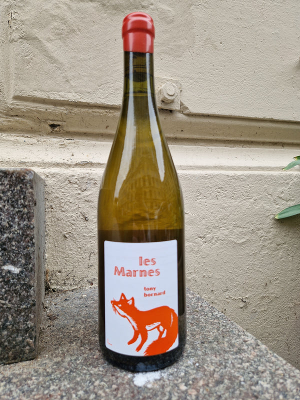 2018 Savagnin, Les Marnes (6 year sous voile) Domain Bornard